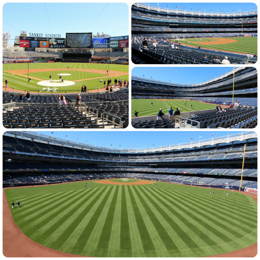 NYY Field Views Collage